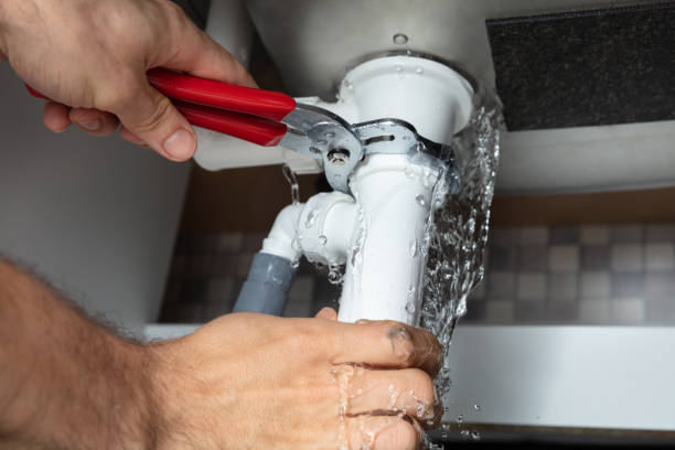Best Water damage restoration services  in Russellton, PA