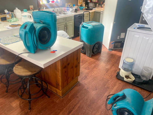 Best Residential water damage restoration  in Russellton, PA