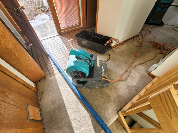 Best Commercial water damage restoration  in Russellton, PA