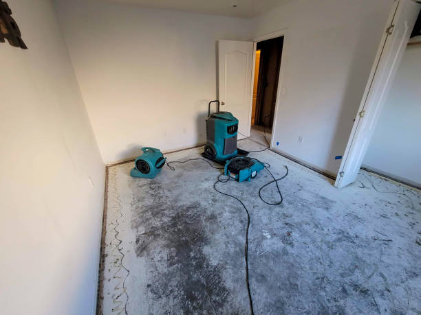 Best Flooded house restoration  in Russellton, PA